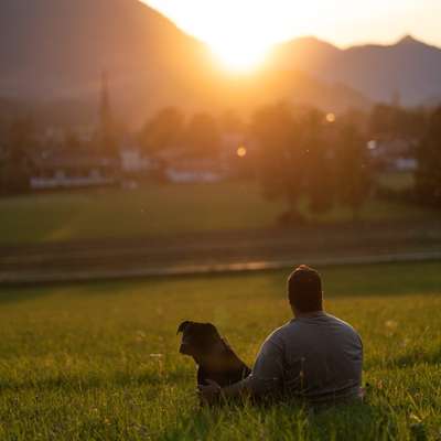 Tierfotograf Bild