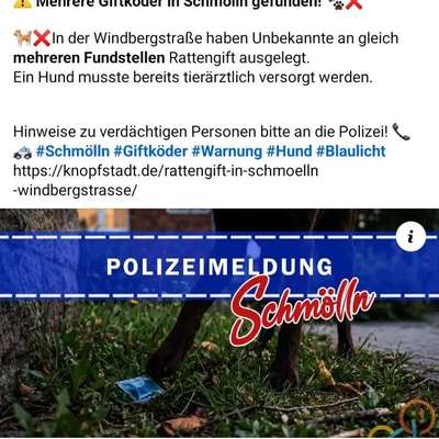 Giftköder-Rattengift-Bild