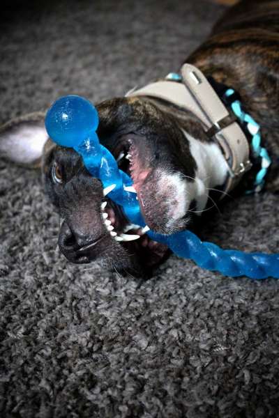 Handy-foto Challange nr. 11-Beitrag-Bild