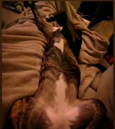 Außergewöhnliche Merkmale-Beitrag-Bild