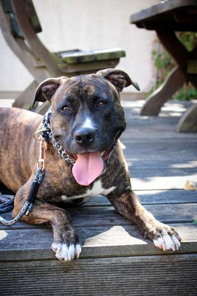 Handyfoto challenge Nr. 13: Waschlappen raus!-Beitrag-Bild