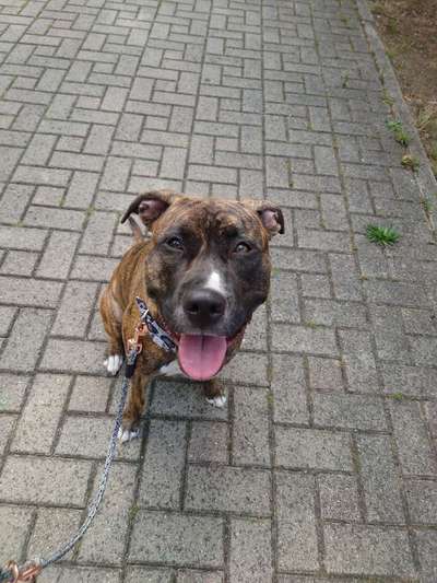 Handy-Foto Challange Nr. 10-Beitrag-Bild