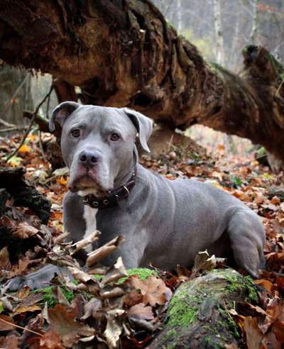 Herbst Bilder-Beitrag-Bild