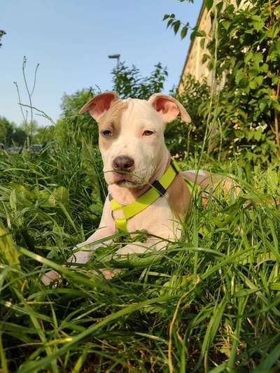 19. Farben  Fottochallenge :
Lieblingsfarbe-Beitrag-Bild