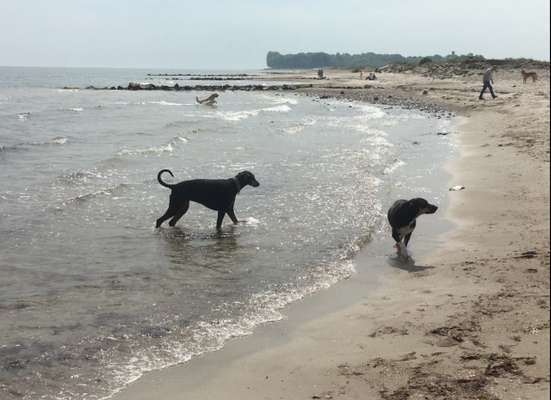 Urlaub Ost/Nordsee am Naturstrand-Beitrag-Bild