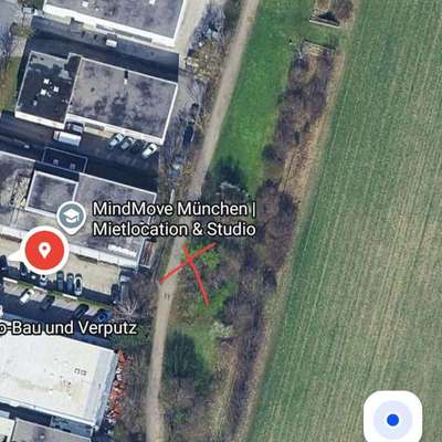 Giftköder-Vermutlich Süßstoff-Bild