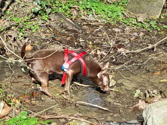 FOTOCHALLANGE NR.71 BADEFREUDE-Beitrag-Bild