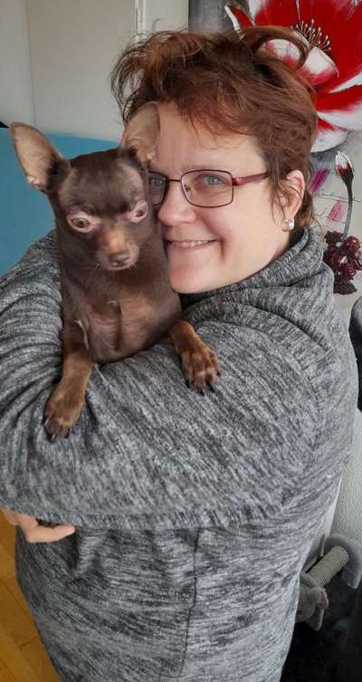 Wo sind die Chihuahua Besitzer ?-Beitrag-Bild