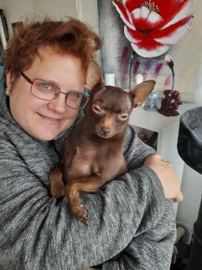 Dogorama Photo Challenge - Be my valentine-Beitrag-Bild