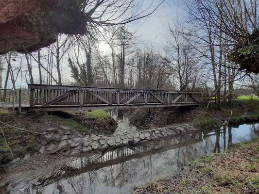 Die wunderschöne Welt mit Hund.-Beitrag-Bild