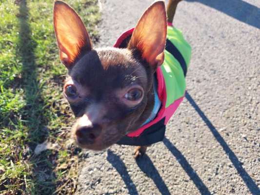 Von oben-Beitrag-Bild