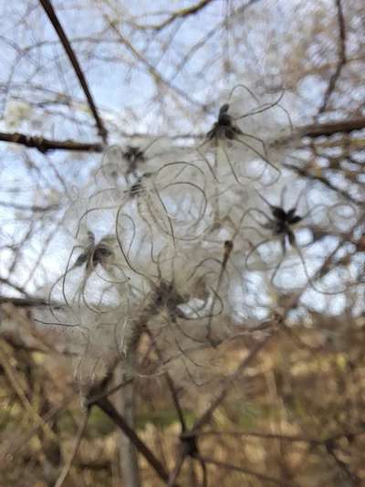 Die wunderschöne Welt mit Hund.-Beitrag-Bild