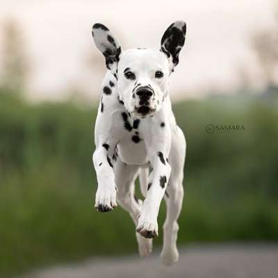 Michele's Profilbild