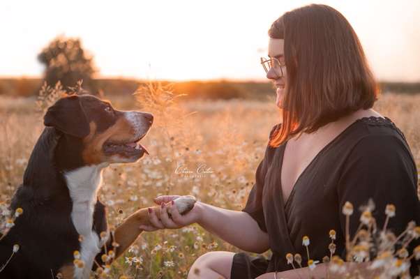 Moviestar-Pics!-Beitrag-Bild