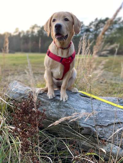 Lieblingsbild-Beitrag-Bild