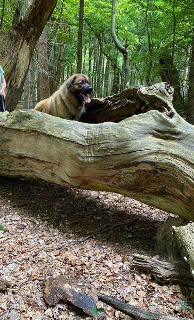 Theos Fotochallenge Nr. 3-Beitrag-Bild