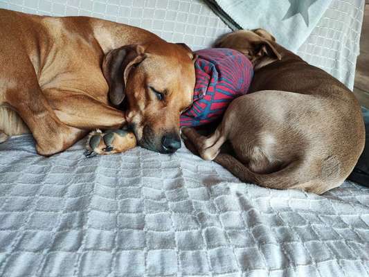 Foto Challenge Nr. 134-Beitrag-Bild