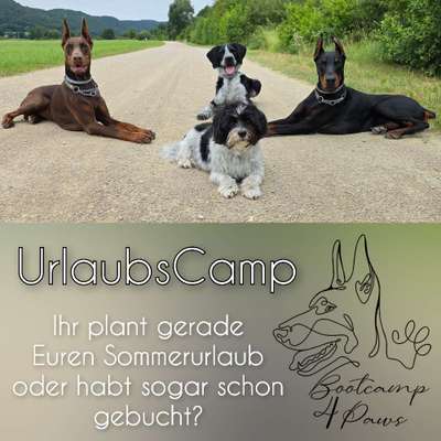 Hundetreffen-UrlaubsCamp | Familiäre Urlaubsbetreuung-Bild