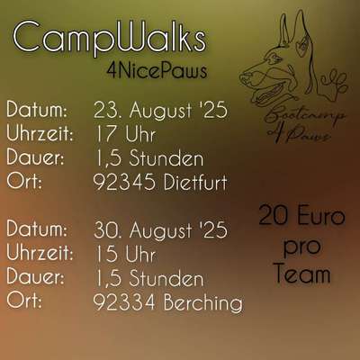 Hundetreffen-CampWalks | August '25-Bild