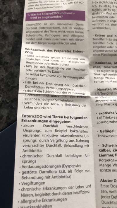 Durchfall-Beitrag-Bild