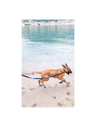 Un...scharf Bilder-Beitrag-Bild