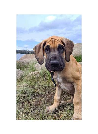 Lieblingsbild :D-Beitrag-Bild