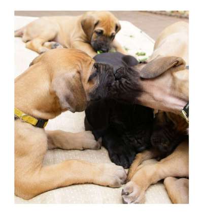 Fotochallenge liebespaare-Beitrag-Bild