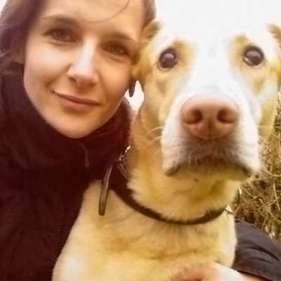Hundetreffen-HundeSpaziergänge 🐶🐾😃-Bild