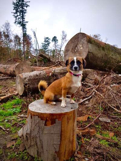 DNA Test-Beitrag-Bild