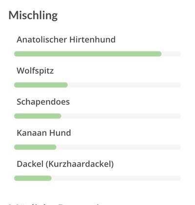 DNA Test-Beitrag-Bild