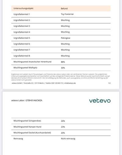 DNA Test-Beitrag-Bild