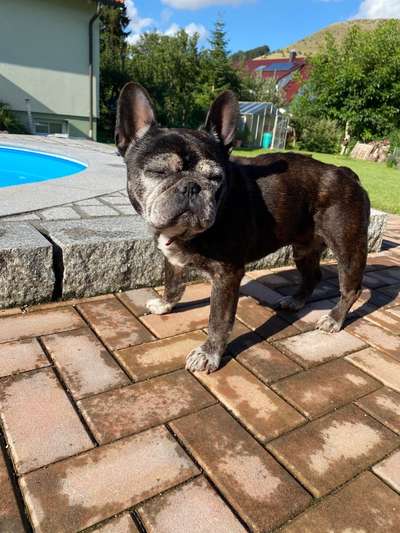 Zauber des Alters-Beitrag-Bild