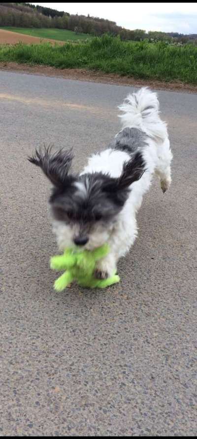 Un...scharf Bilder-Beitrag-Bild