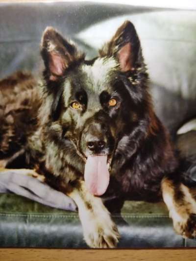 Fotochallange Nr. 57     PORTRÄT.   Beendet!!!!!!!!-Beitrag-Bild