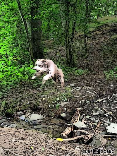 Der Hund als Cartoon-Beitrag-Bild