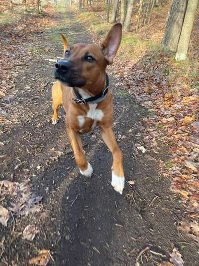 Lieblingsbild-Beitrag-Bild