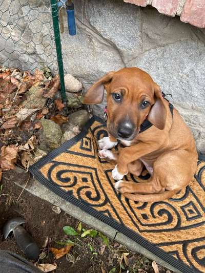 Lieblingsbild-Beitrag-Bild