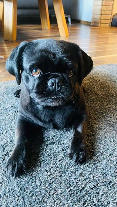 Fotochallange Nr. 57     PORTRÄT.   Beendet!!!!!!!!-Beitrag-Bild