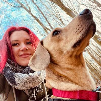 Hundetreffen-Treffen im Hundeauslauf Osterrönfeld-Bild