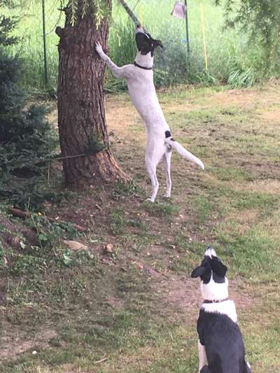 Handy-Foto-Challange Nr. 8-Beitrag-Bild