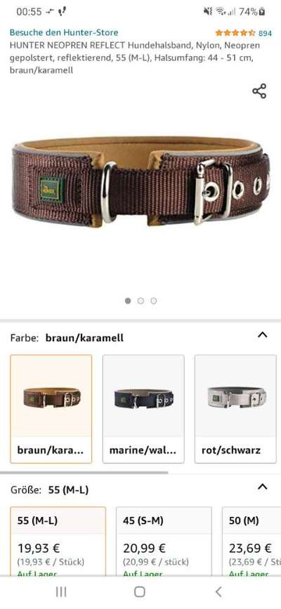 Labbi-festes Halsband-Beitrag-Bild