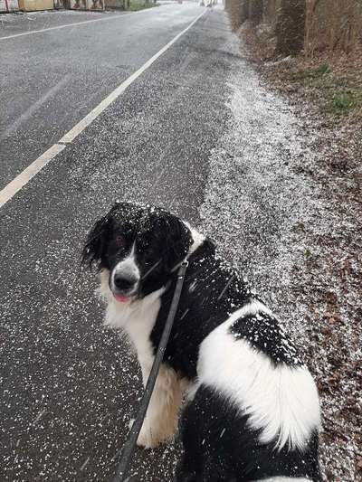 Zeigt euer coolstes winteroutfit-Beitrag-Bild