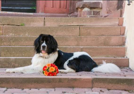 Fotochallenge Nr. 29 - Accessoires-Beitrag-Bild