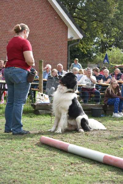 Challenge 30  Freundschaft-Beitrag-Bild