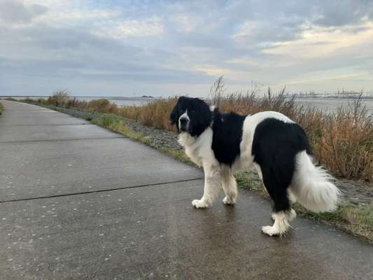 42.Fotochallenge - Eure schönen Momente beim Spaziergang-Beitrag-Bild