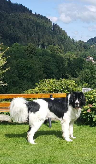 Fotochallenge Nr. 67: Euer Lieblingsbild-Beitrag-Bild