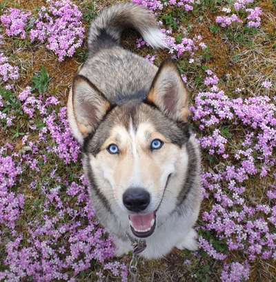 Fotowettbewerb Natur-Beitrag-Bild
