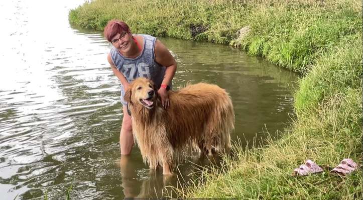 Hundeschulen-Felis Hundetraining-Bild