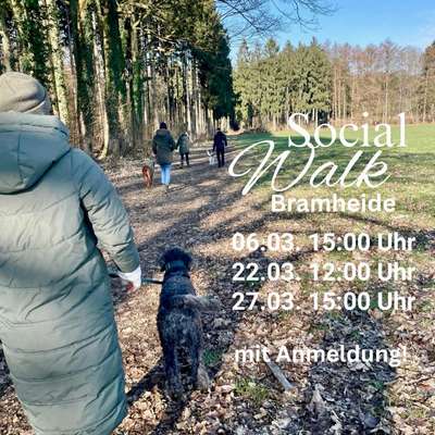 Giftköder-Social Walk-Bild