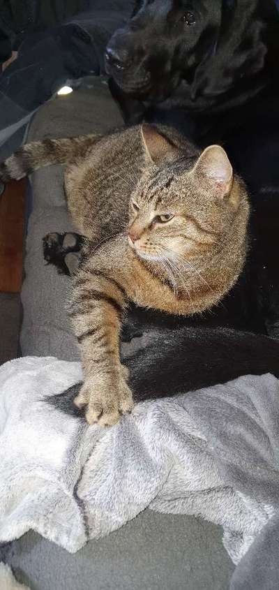 CHALLENGE Nr.17-Beitrag-Bild